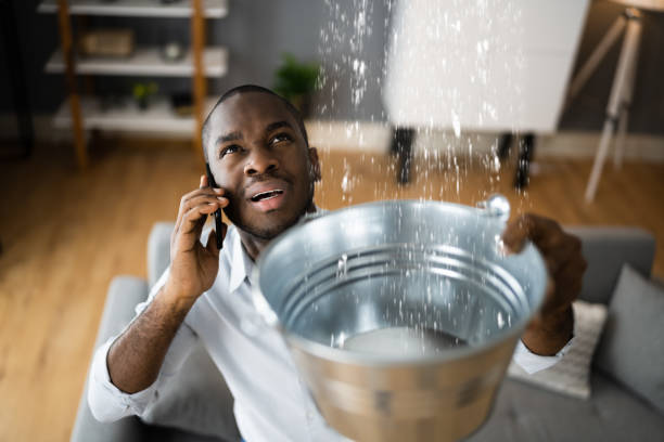 Best 24/7 water damage repair  in River Heights, UT