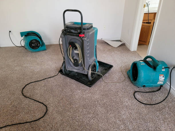 Best 24-hour water damage restoration  in River Heights, UT