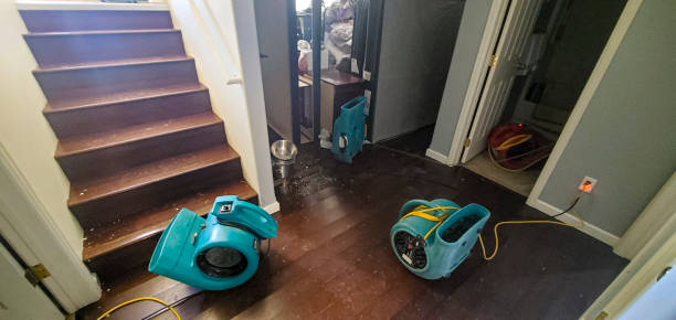 Best Professional water damage repair  in River Heights, UT