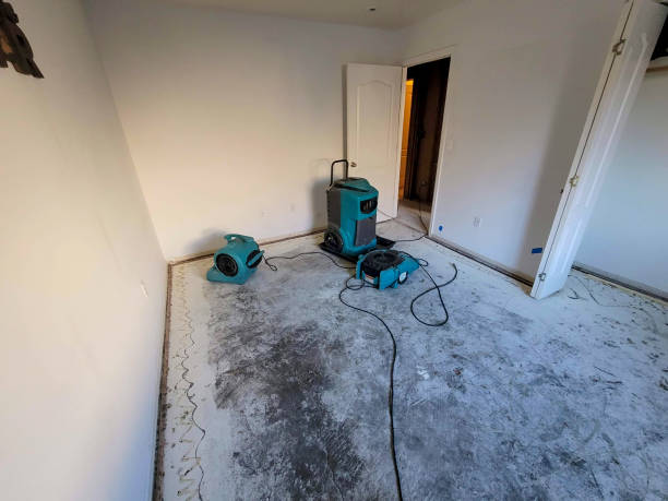 Best Flooded house restoration  in River Heights, UT