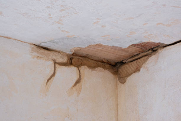 Best Water damage restoration services  in River Heights, UT