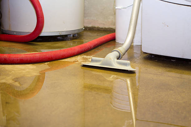 Best Local water damage restoration  in River Heights, UT
