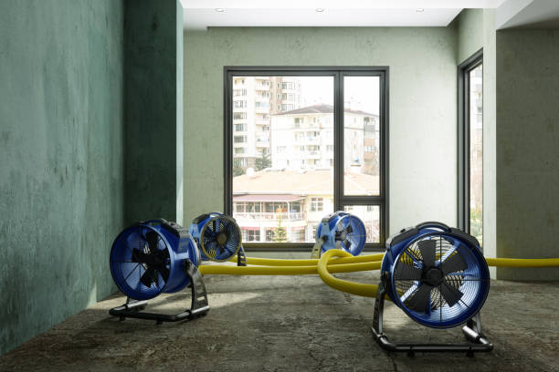 Sewage cleanup and water damage restoration in UT